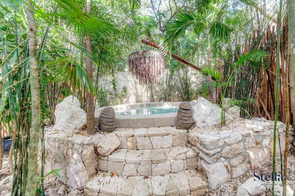 Luxurious Oasis Jacuzzi With Art Gallery And Pool تولوم 0*,  المكسيك