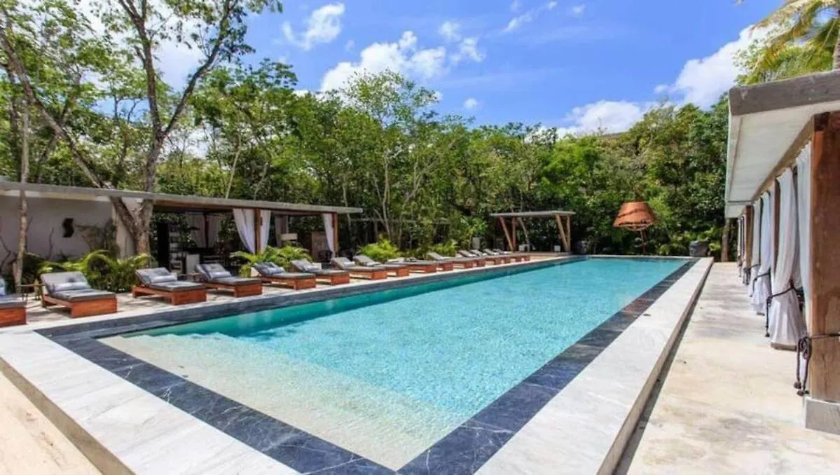 Luxurious Oasis Jacuzzi With Art Gallery And Pool Tulum Mexico