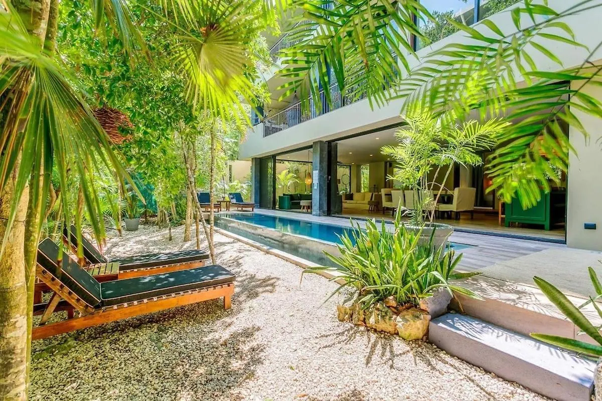 Luxurious Oasis Jacuzzi With Art Gallery And Pool Tulum Meksyk