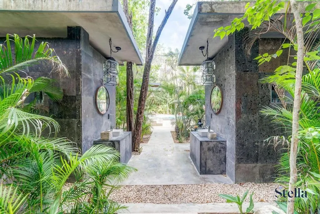 Luxurious Oasis Jacuzzi With Art Gallery And Pool Tulum Meksyk
